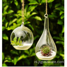 Glazen terrarium voor vetplanten